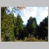 DSCN9560.JPG