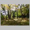 DSCN9561.JPG