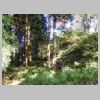 DSCN9565.JPG