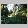 DSCN9569.JPG