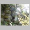 DSCN9572.JPG