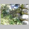 DSCN9575.JPG