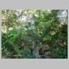DSCN9577.JPG