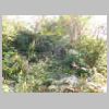 DSCN9580.JPG