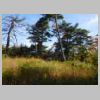 DSCN9582.JPG