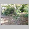 DSCN9619.JPG