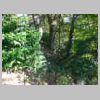 DSCN9620.JPG