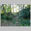 DSCN9629.JPG