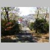 DSCN0060.JPG