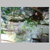 DSCN0078.JPG