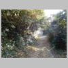 DSCN0520.JPG
