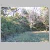 DSCN0543.JPG