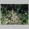 DSCN0549.JPG