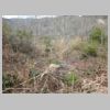 DSCN0674.JPG