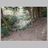 DSCN8459.JPG