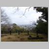 DSCN8460.JPG