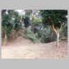 DSCN8462.JPG