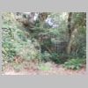 DSCN8463.JPG
