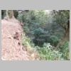 DSCN8468.JPG