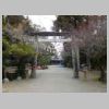 DSCN8479.JPG