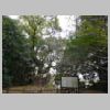 DSCN8481.JPG