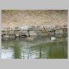 DSCN8489.JPG