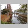 DSCN8495.JPG