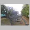 DSCN8780.JPG