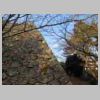 DSCN8788.JPG
