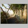 DSCN8798.JPG