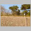 DSCN8806.JPG