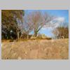 DSCN8809.JPG