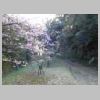 DSCN9072.JPG