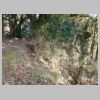 DSCN9079.JPG
