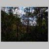 DSCN9081.JPG