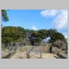 DSCN9083.JPG