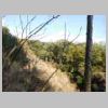 DSCN9087.JPG