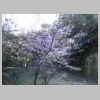 DSCN9097.JPG