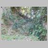 DSCN9098.JPG