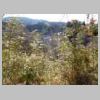 DSCN9108.JPG