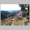 DSCN9138.JPG