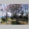 DSCN9139.JPG