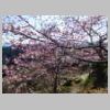 DSCN9142.JPG