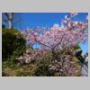 DSCN9144.JPG