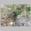 DSCN9278.JPG
