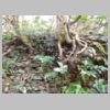 DSCN9280.JPG