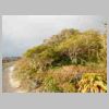 DSCN9285.JPG