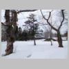 DSCN9396.JPG