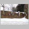 DSCN9397.JPG