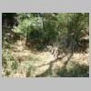 DSCN9700.JPG